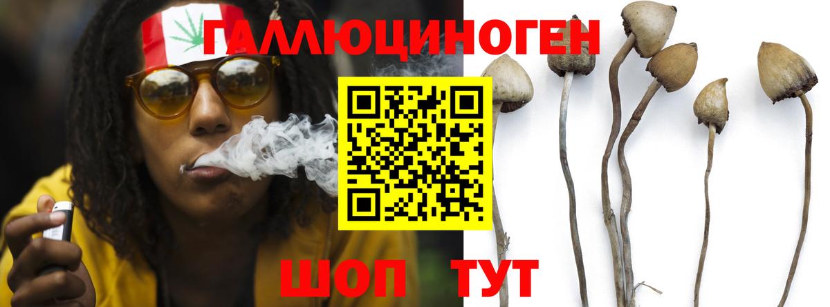 Псилоцибиновые грибы Cubensis Гагарин