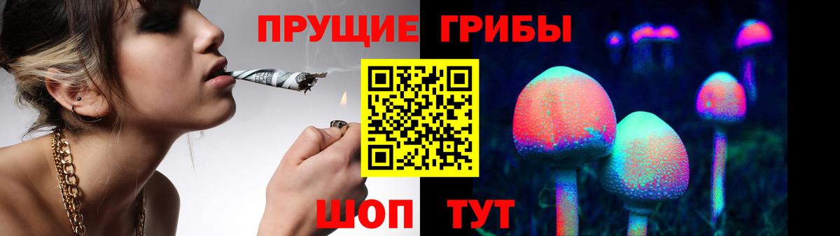 Псилоцибиновые грибы мухоморы  Вход с VPN  Гагарин  Галлюциногенные грибы MAGIC MUSHROOMS 
